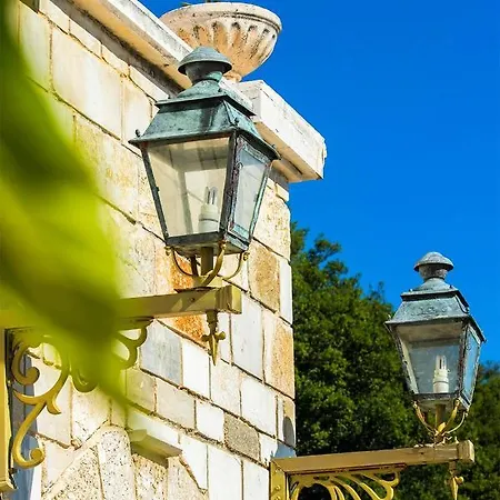 Senecio Villa